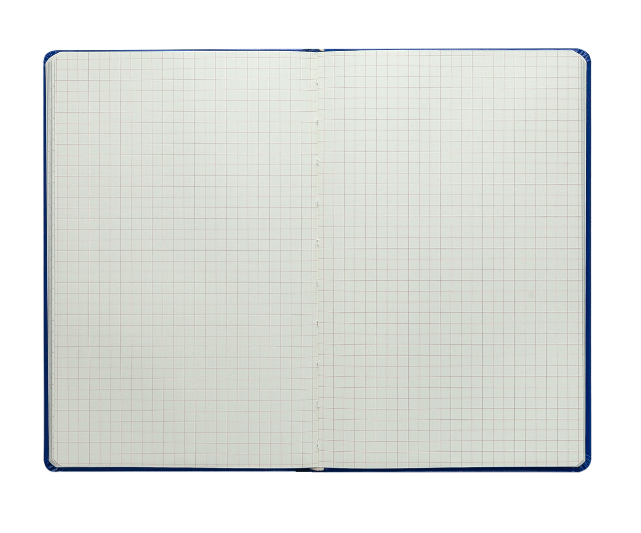 Книга записная CONCEPT, А5 (125*195мм.), 96л., кл., черно-син. BuroMax - фото 4