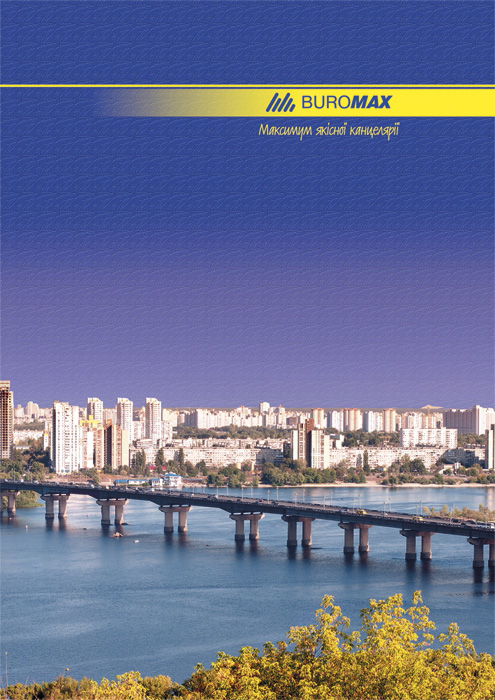 Книга обліку тверда обкладинка, 96арк., лінійка, асорті BuroMax - фото 1