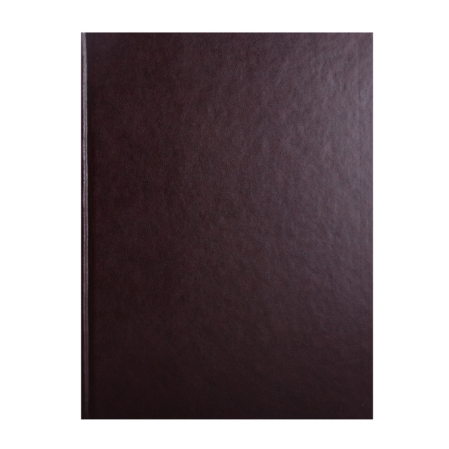 Книга учета 192л., твердый переплет, офсет, лин. BuroMax - фото 1