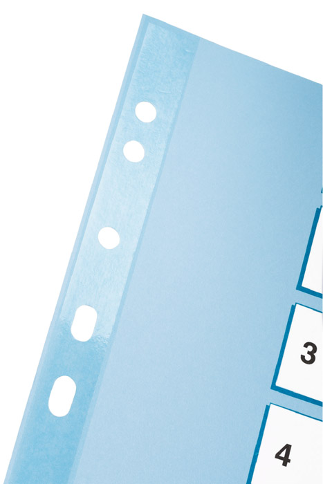 Разделитель страниц цифровой Mylar 1-10 , картон. Esselte - фото 4