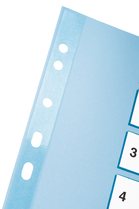 Разделитель страниц цифровой Mylar 1-12, картон. Esselte - фото 3