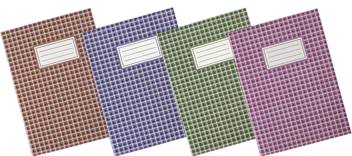 Книга обліку м'яка обкладинка, 48арк., клітинка BuroMax - фото 4