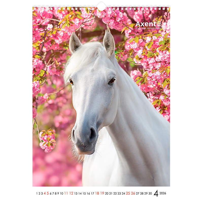 Календар настінний 2026 р., формат А3 (297*420мм.), 13 аркушів, Horses Axent - фото 10