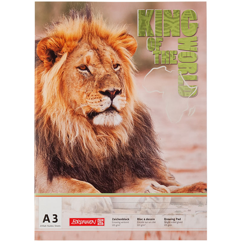 Альбом-склейка для рисования А3, 20 листов, 100 г/м2 Brunnen - фото 5