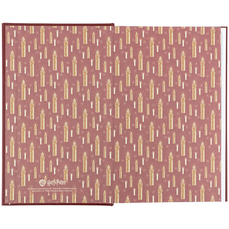 Книга записная твердая обложка А6, 80 лист., кл., Harry Potter (HP25-199) Kite - фото 3