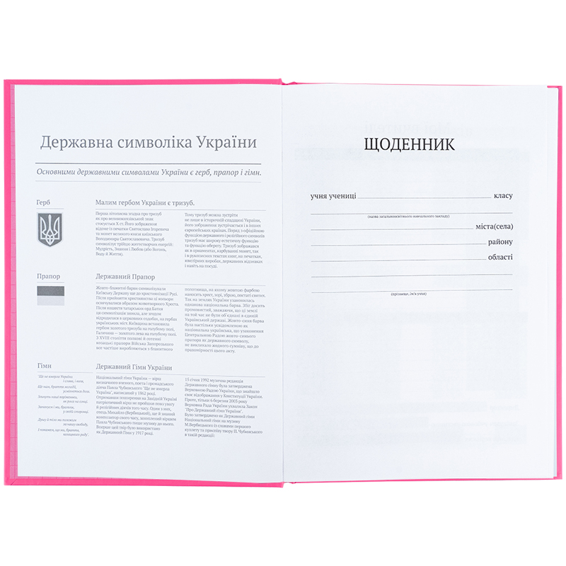 Школьный дневник, твёрдая обложка, розовый (K25-262-14) Kite - фото 6