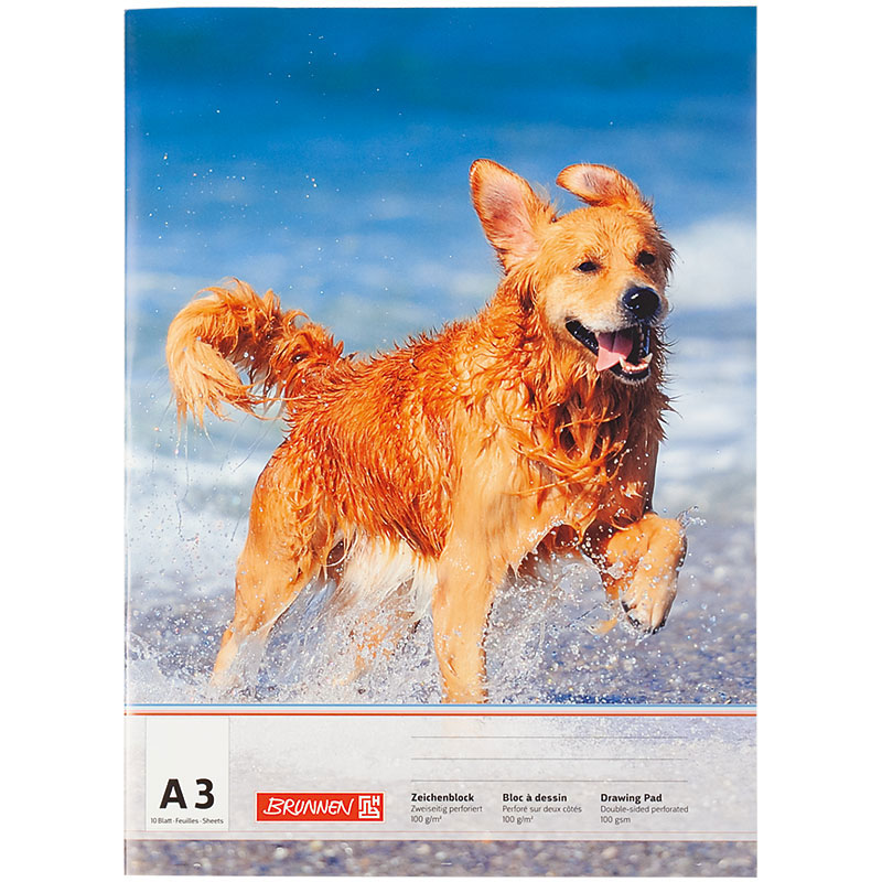 Альбом-склейка для рисования А3, 10 лист. 100 г/м2 Brunnen - фото 6