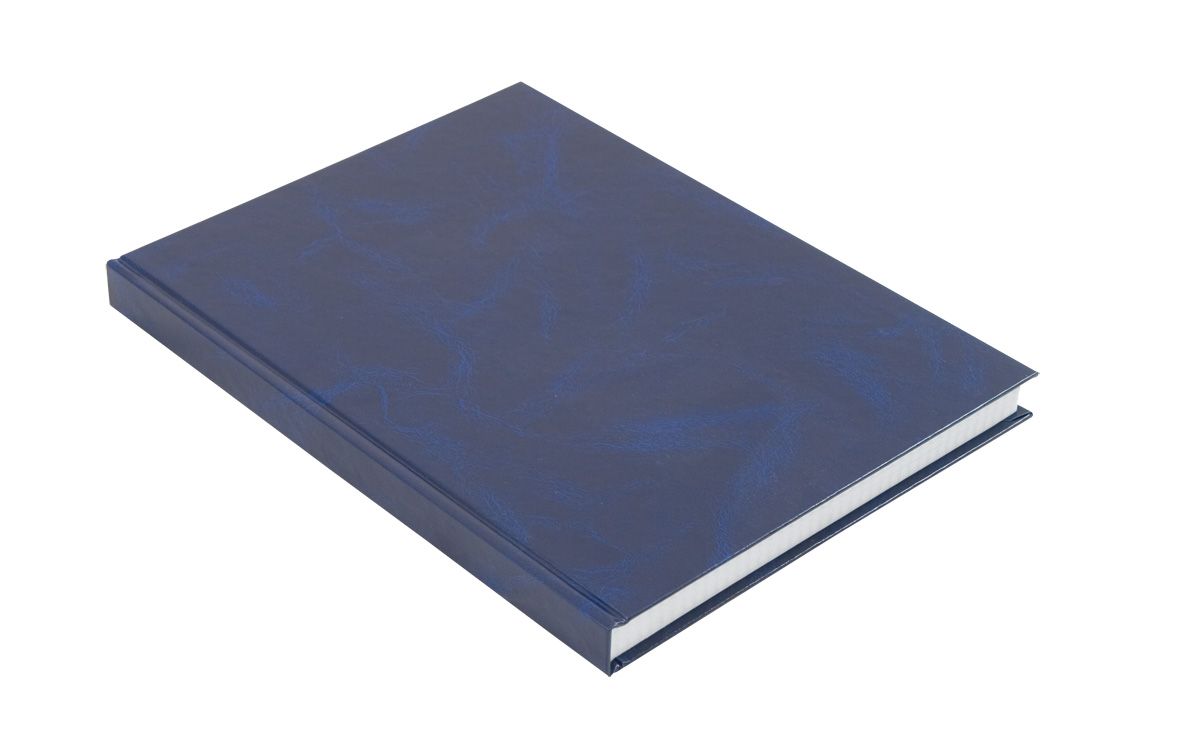 Книга учета 192л. твердый переплет, офсет, кл. BuroMax - фото 2