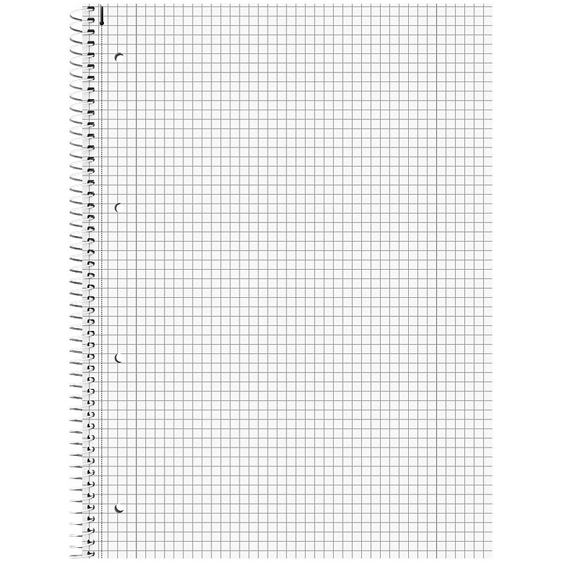 Колледж-блок А4 Premium, клетка, 80 листов, White Brunnen - фото 2