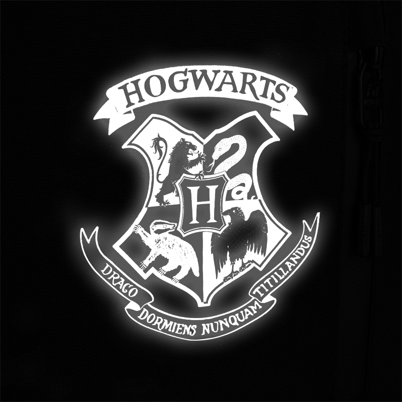 Рюкзак Kite Education teens 949M «Harry Potter» Kite - фото 18