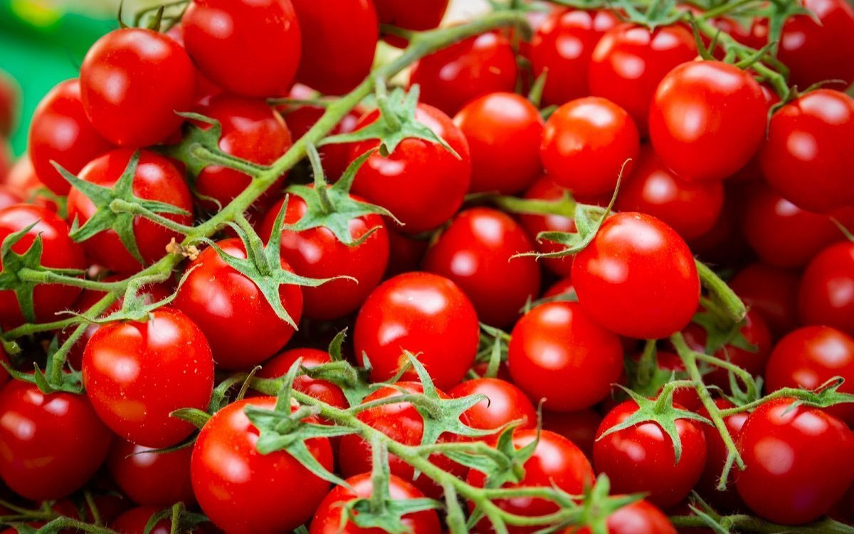 Томат чері Україна - фото 3