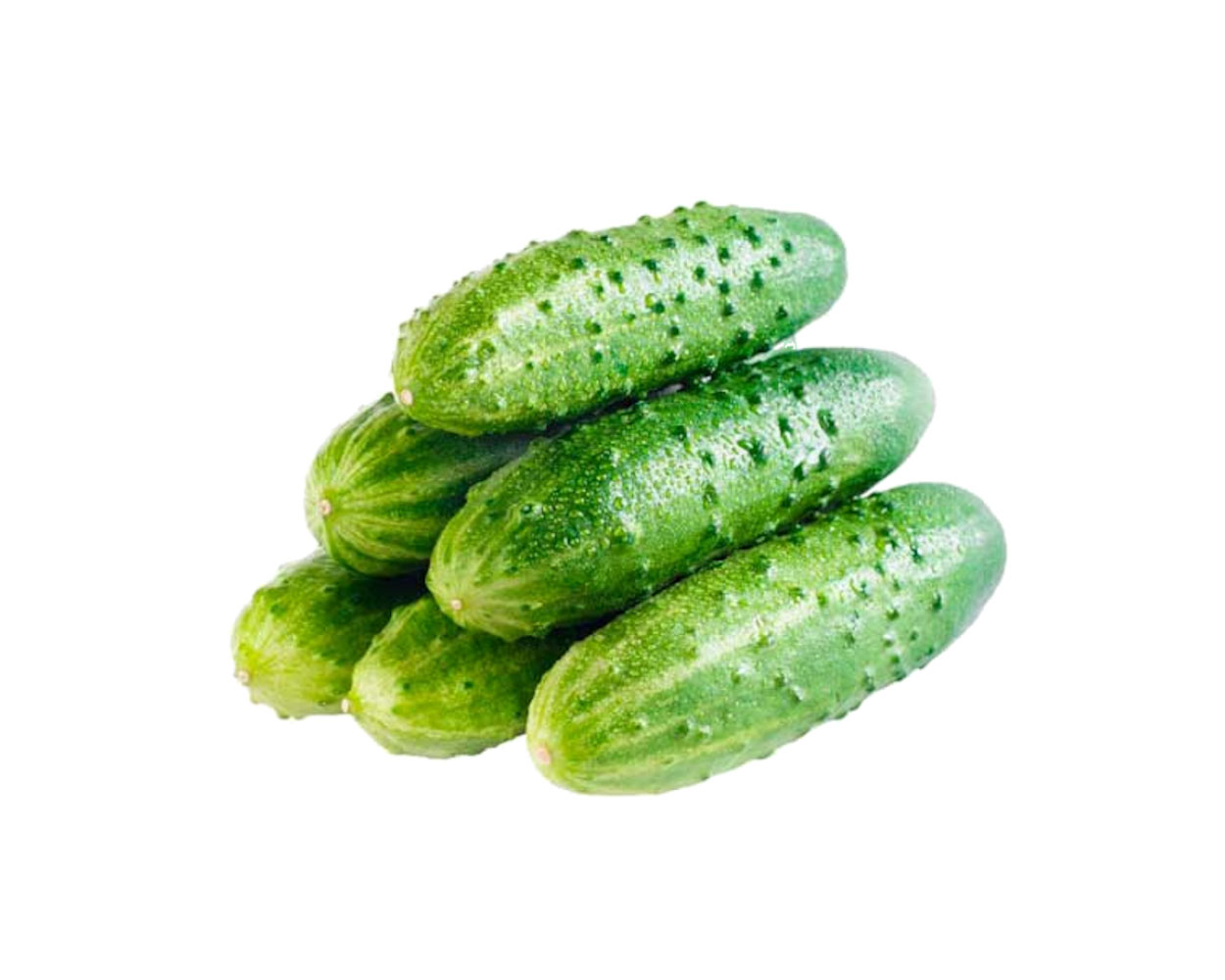 Огірок Україна - фото 1
