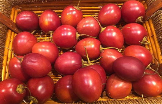 Тамарилло, шт. Колумбия - фото 4