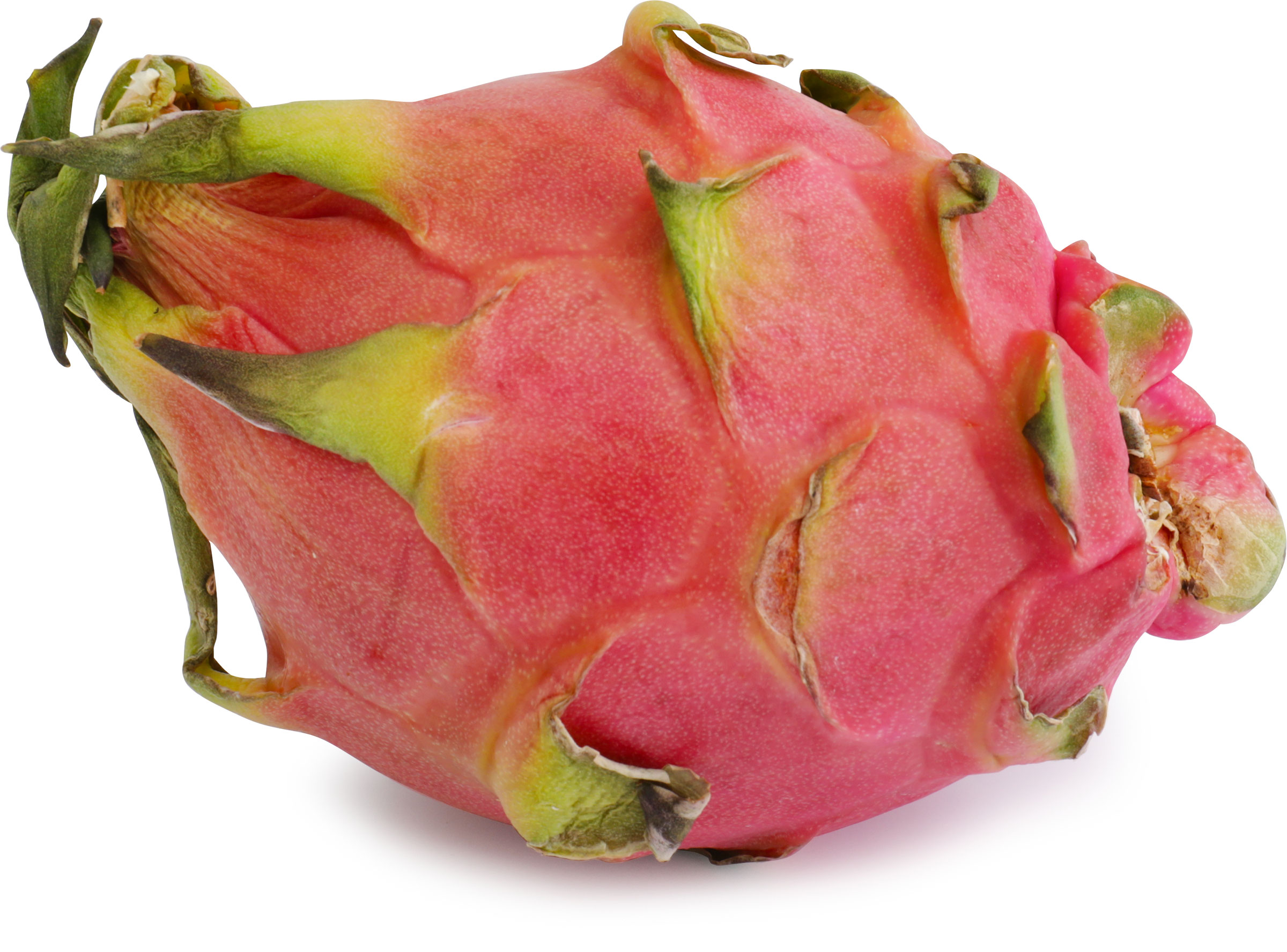 Пітахайя червона, шт. В'єтнам - фото 4