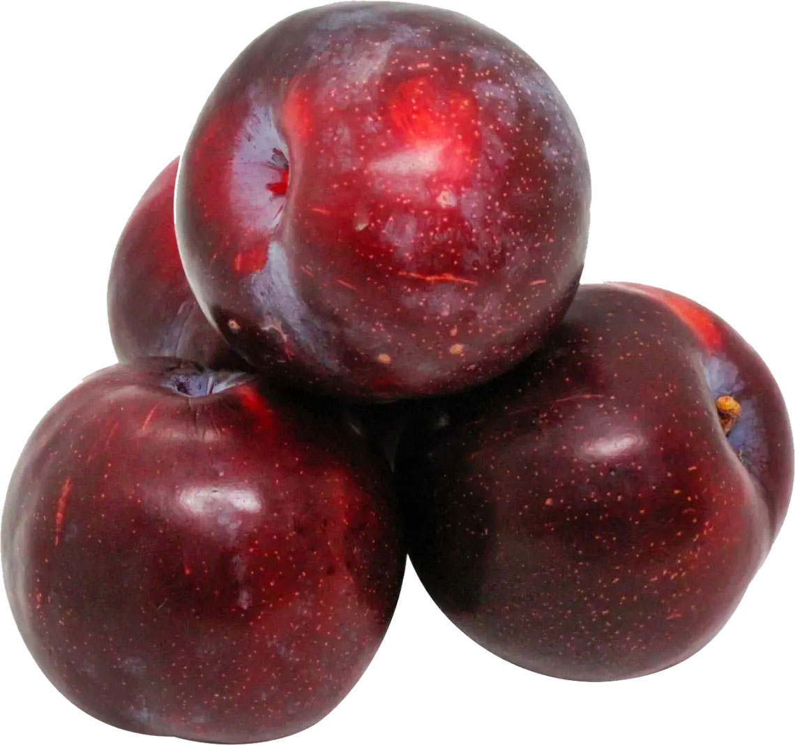 Слива импортная Испания - фото 1