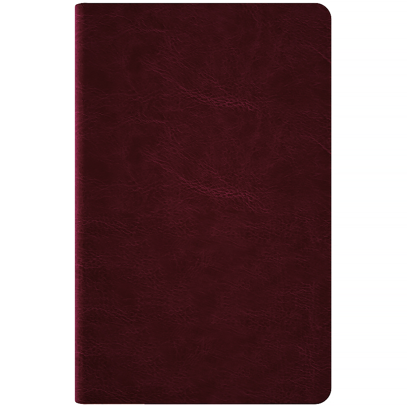 Щотижневик 2026 Partner City Soft, 125*195мм, коричневий Axent - фото 3