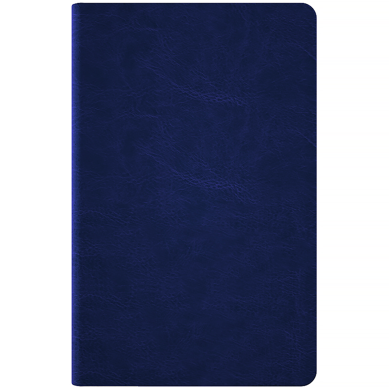 Еженедельник 2026 Partner City Soft, 125*195мм, синий Axent - фото 1