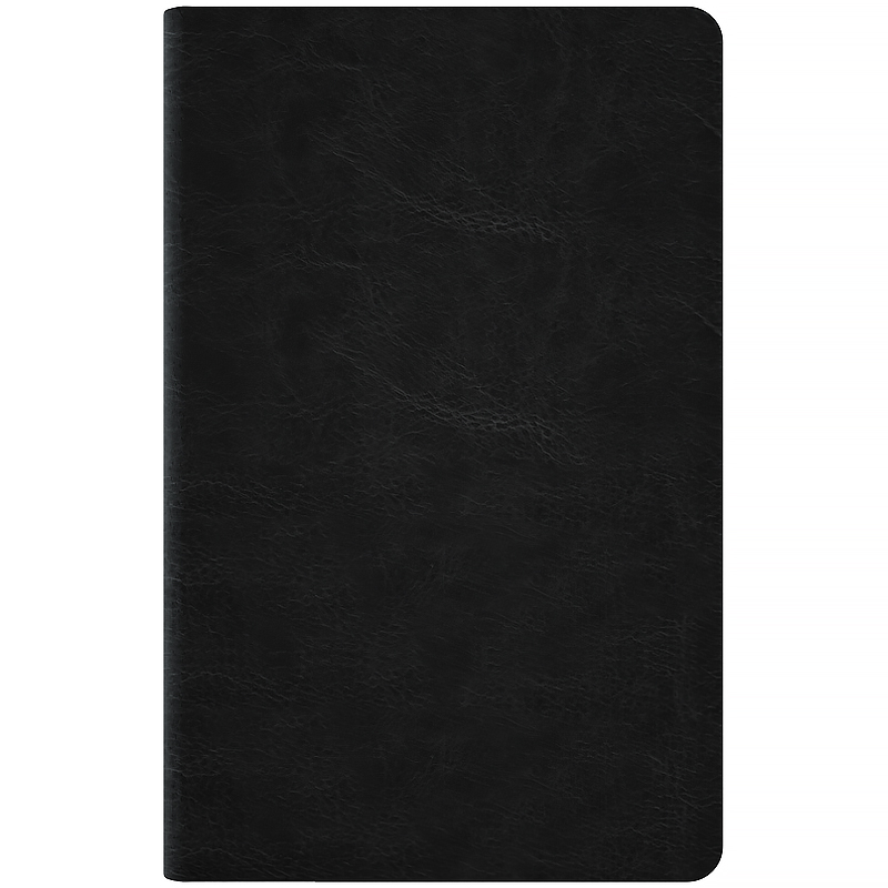 Щотижневик 2026 Partner City Soft, 125*195мм, чорний Axent - фото 1