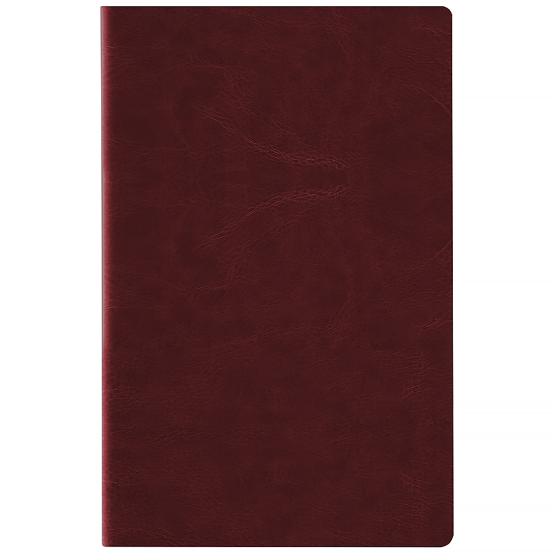 Щоденник 2026 Partner City Soft, 145*210, коричневий Axent - фото 1