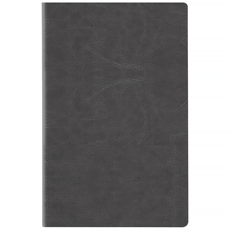 Ежедневник  2026 Partner City Soft, 145*210, серый Axent - фото 1