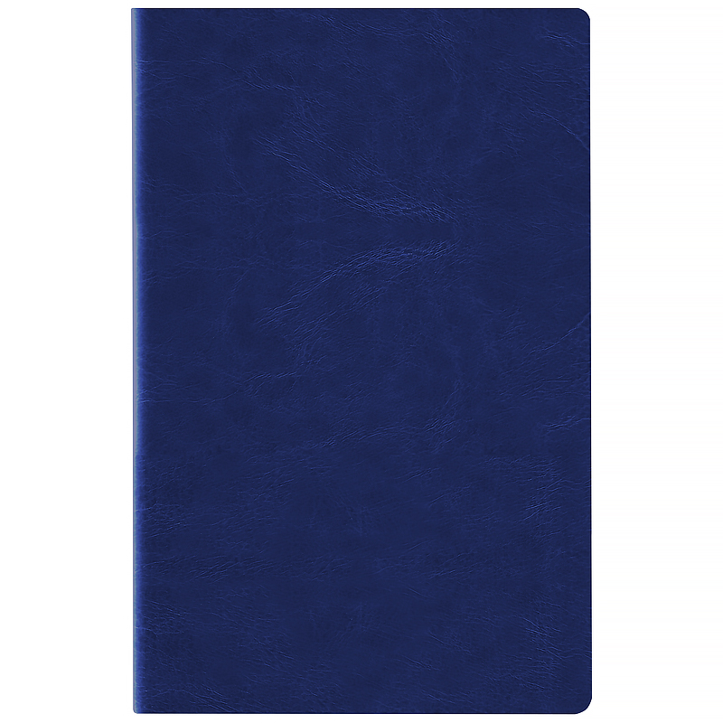 Щоденник 2026 Partner City Soft, 145*210, синій Axent - фото 1