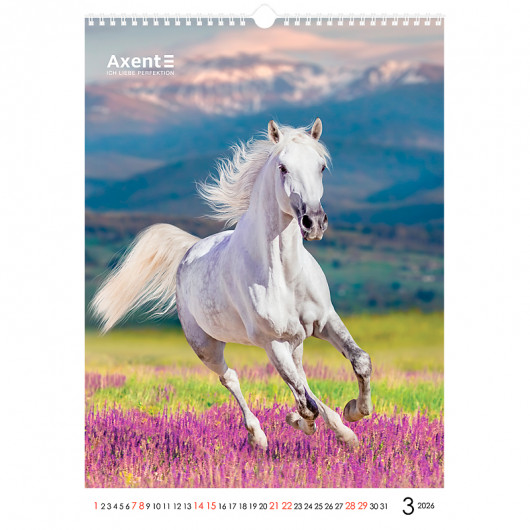 Календар настінний 2026 р., формат А3 (297*420мм.), 13 аркушів, Horses Axent - фото 12