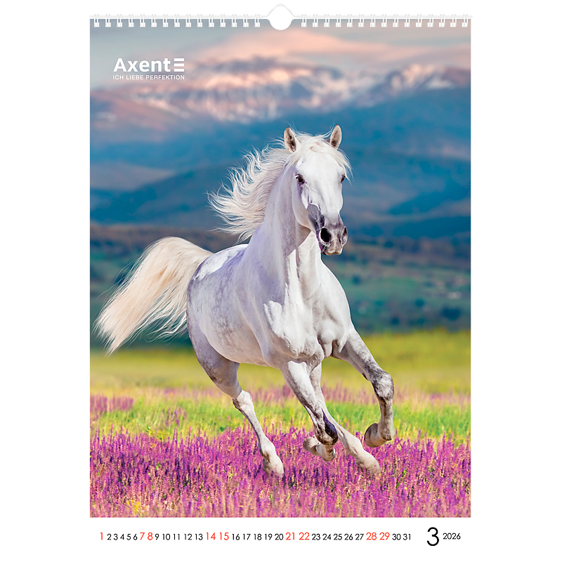 Календар настінний 2026 р., формат А3 (297*420мм.), 13 аркушів, Horses Axent - фото 12