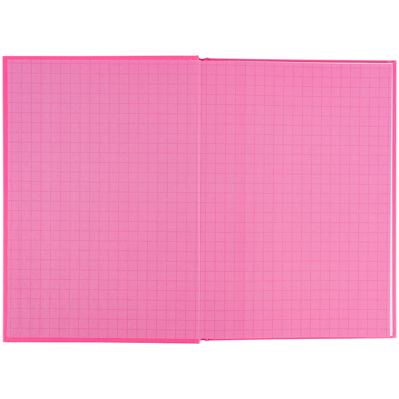 Школьный дневник, твёрдая обложка, розовый (K25-262-14) Kite - фото 7