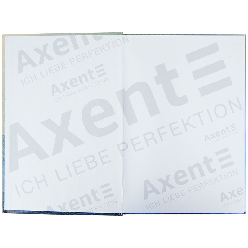 Книга учета 96л. твердый переплет, офсет, серия Waves, клетка, син. Axent - фото 4