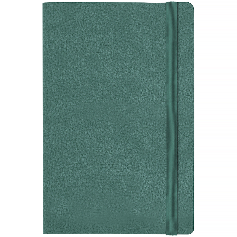 Ежедневник 2026 Partner Soft Skin, 145*210, серо-лазурный Axent - фото 3