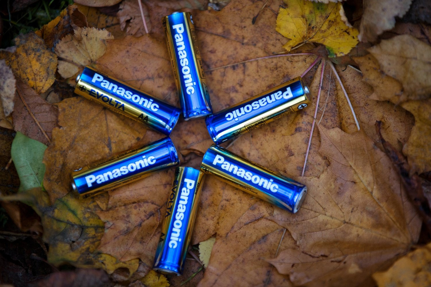 Батарейка LR03 (AАA) EVOLTA, 2шт./уп. Panasonic - фото 1