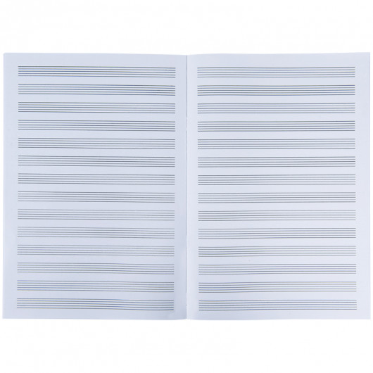 Тетрадь для нот А4, 20 л, Vinyl Kite - фото 4