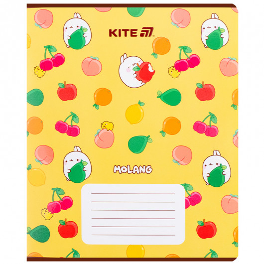 Зошит 18 арк., лін., гібр. лак + УФ лак, Molang (ML25-237) Kite - фото 16