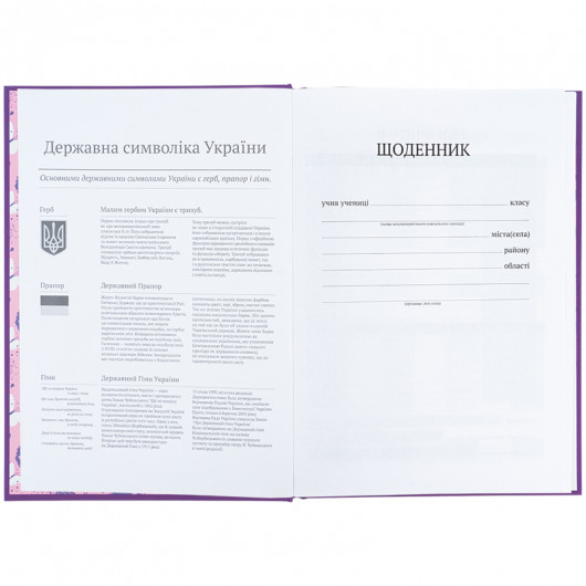 Школьный дневник, твёрдая обложка, Superstar (K25-262-2) Kite - фото 7