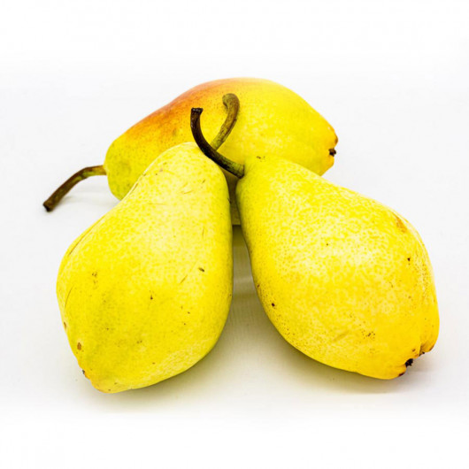 Груша Санта Марія Турція - фото 1