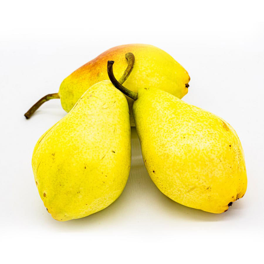 Груша Санта Марія Турція - фото 1