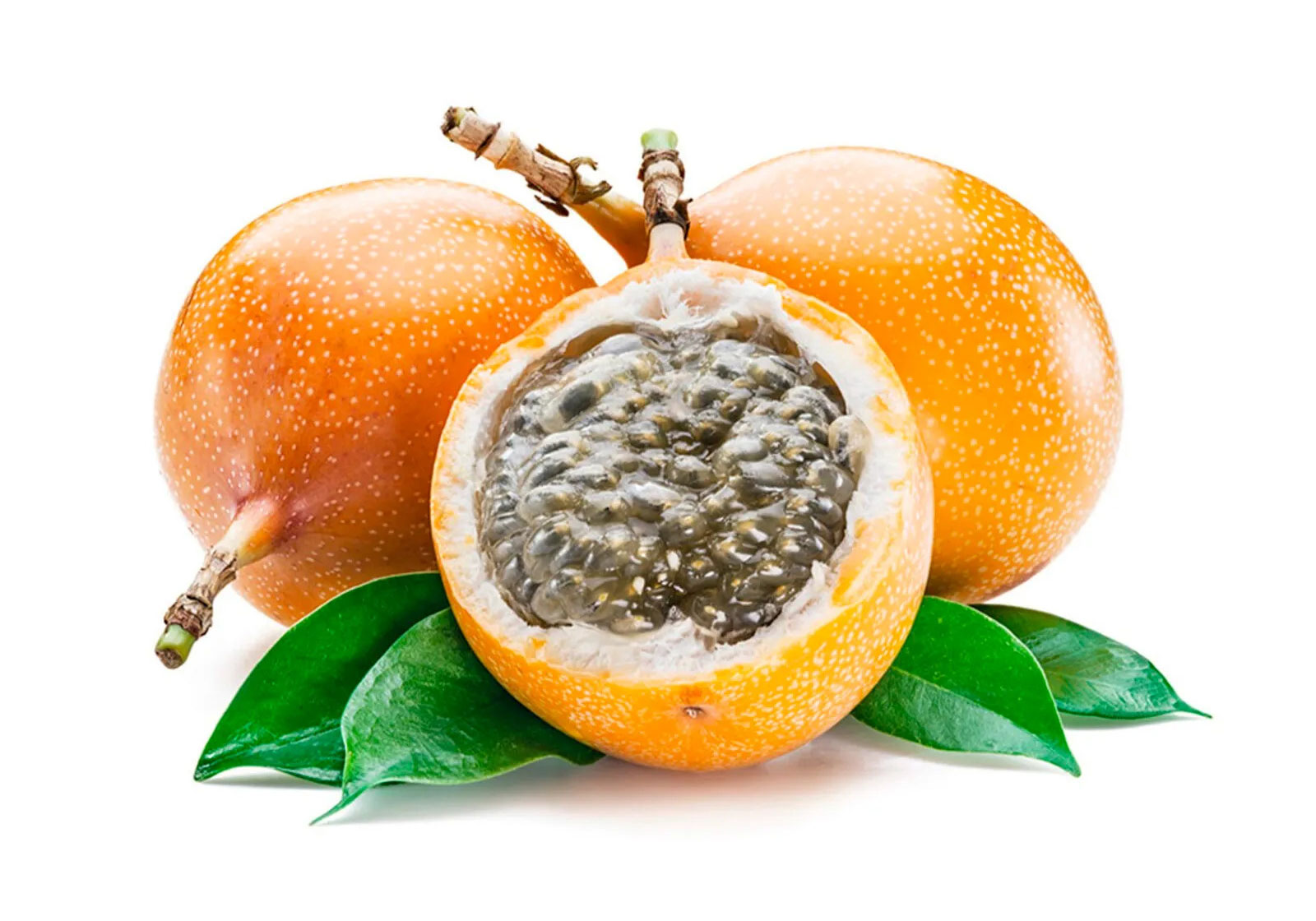 Гранаділа, шт. Іспанія - фото 1