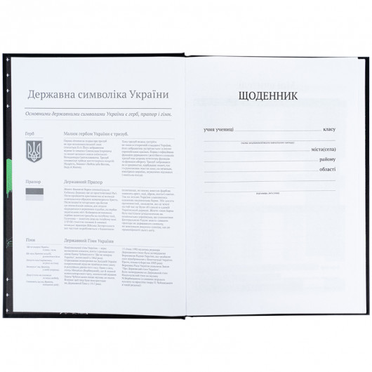 Школьный дневник, твердая обложка, CyberRink (K25-262-9) Kite - фото 8