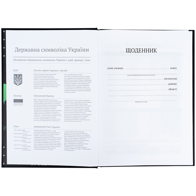 Школьный дневник, твердая обложка, CyberRink (K25-262-9) Kite - фото 8