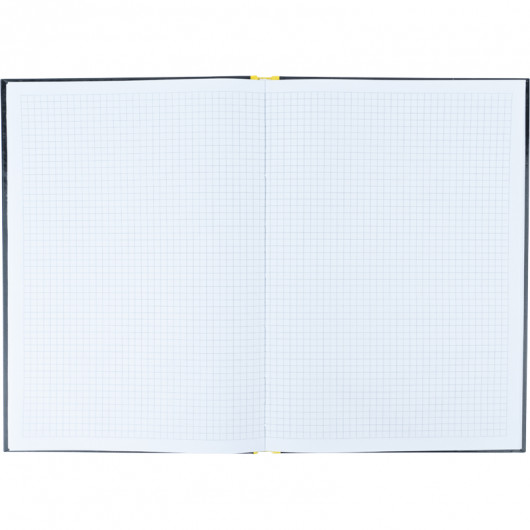 Книга учета 80л., А4, Colors, твердый переплет, офсет, кл., желт. Axent - фото 4