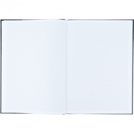 Книга учета 80л., А4, Colors, твердый переплет, офсет, кл., фиолет. Axent - фото 4