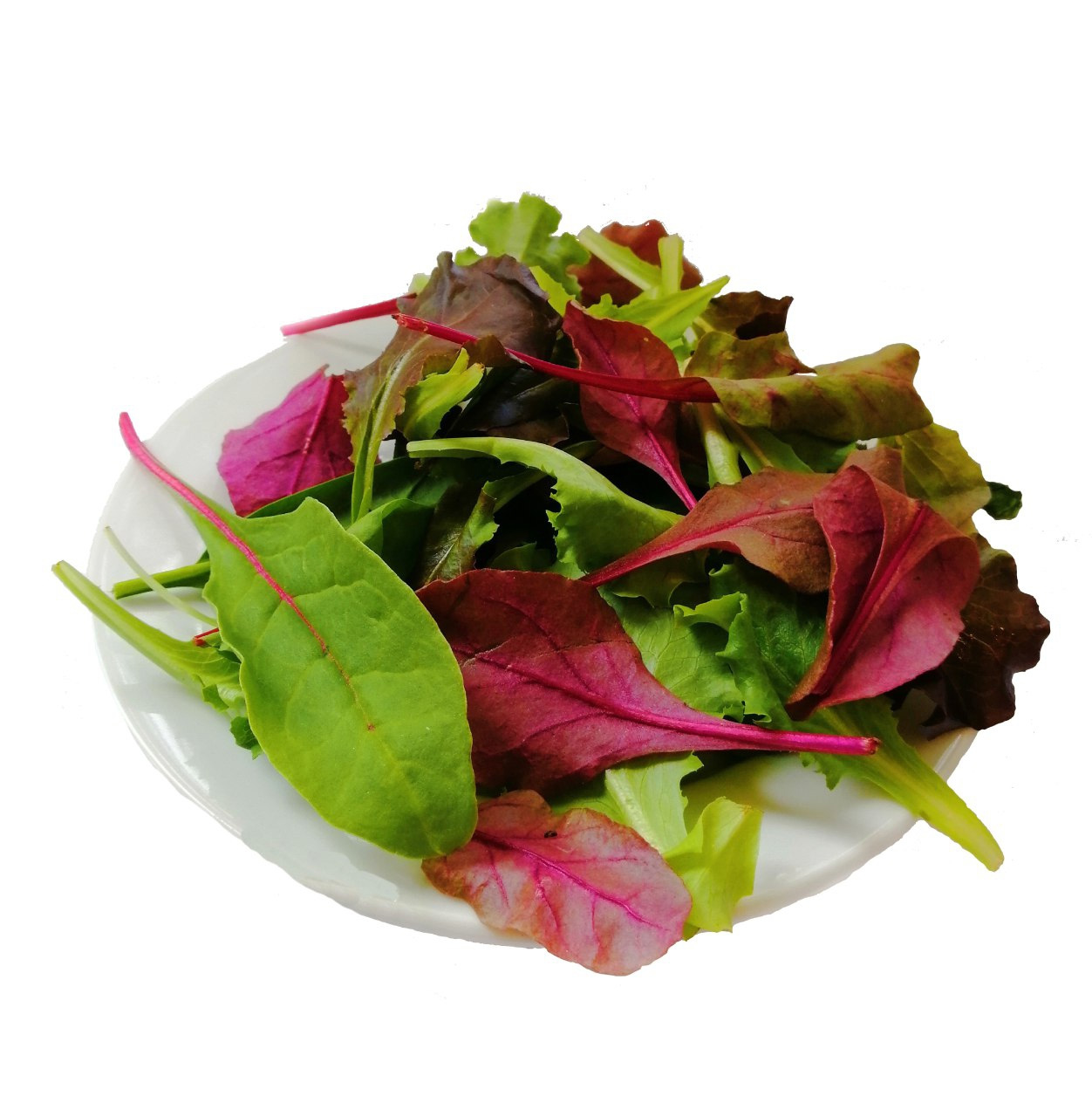 Салат Бебі Мікс, 125 г. _ - фото 3