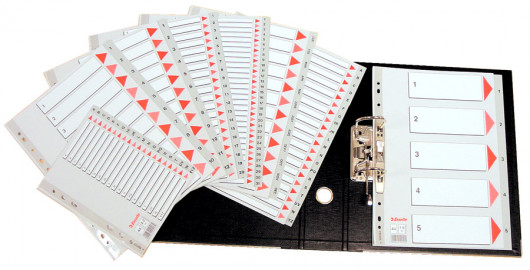 Разделитель страниц цифровой 1-20, пласт. Esselte - фото 6