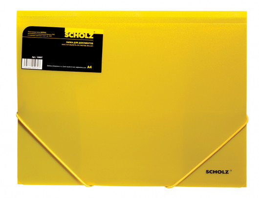 Папка на резинках А4, пластик прозр., ассорт. Scholz - фото 7