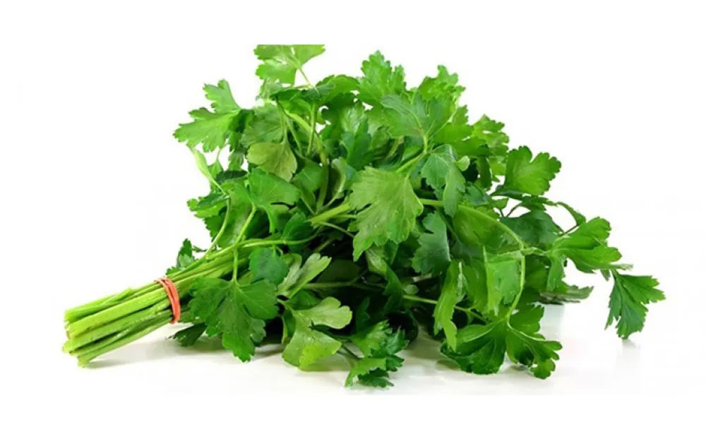 Петрушка Украина - фото 1