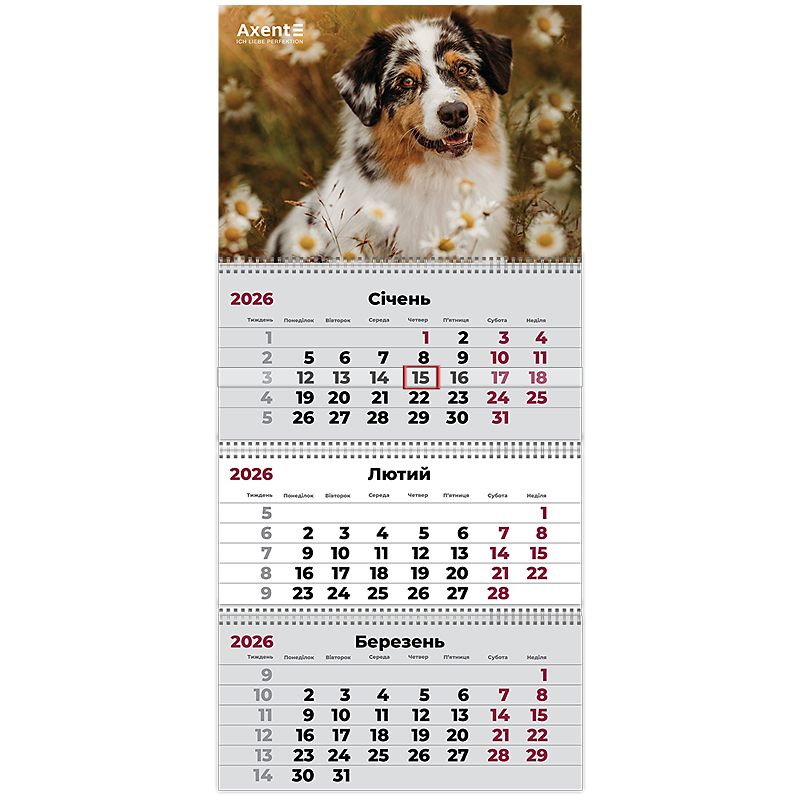 Календар настінний квартальний 2026 р.,3 пр. Dogs 1 Axent - фото 1