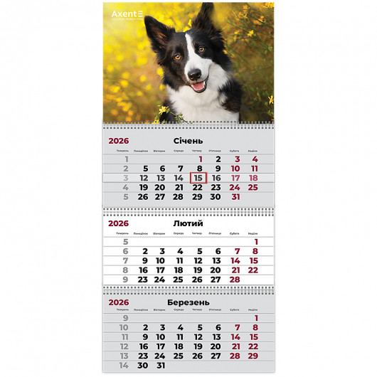 Календар настінний квартальний 2026 р.,3 пр. Dogs 3 Axent - фото 1