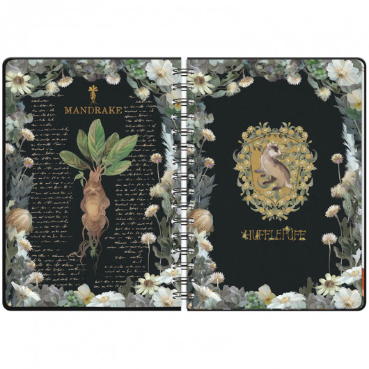 Щоденник на спіралі, тверда обкладинка, Harry Potter (HP23-438) Kite - фото 6