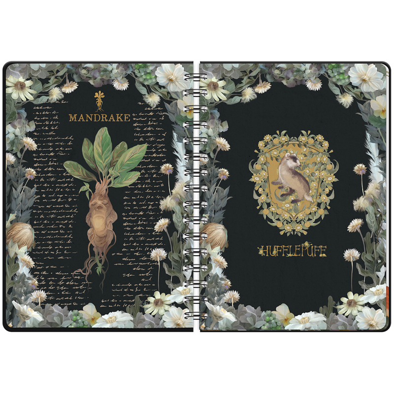 Щоденник на спіралі, тверда обкладинка, Harry Potter (HP23-438) Kite - фото 6