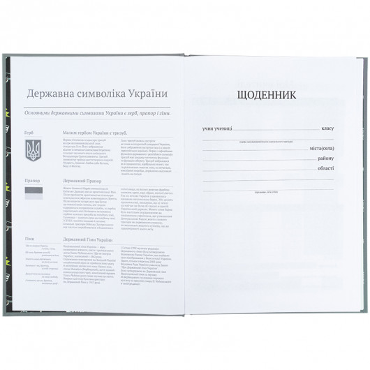 Школьный дневник, твёрдая обложка, Energy (K25-262-5) Kite - фото 7